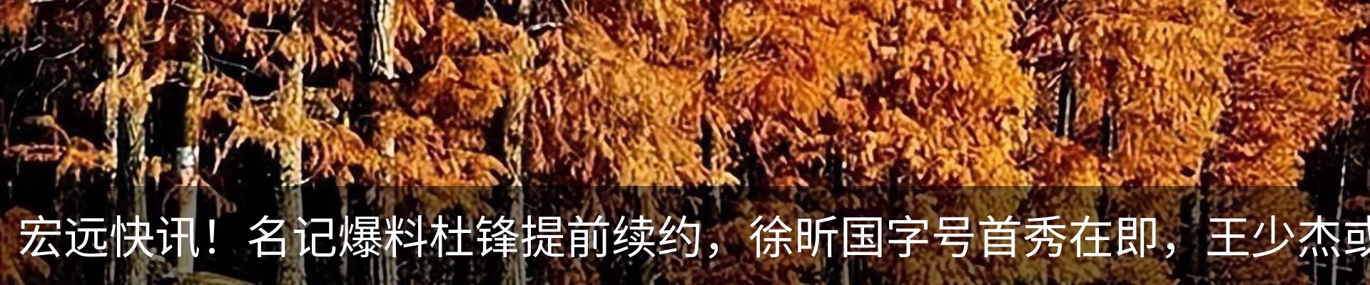 内页banner